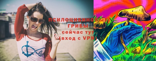 трава Гусиноозёрск