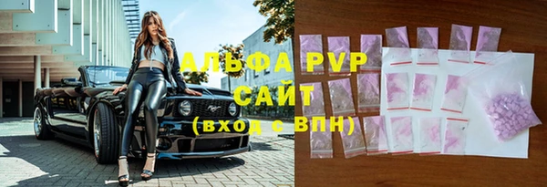 трава Гусиноозёрск