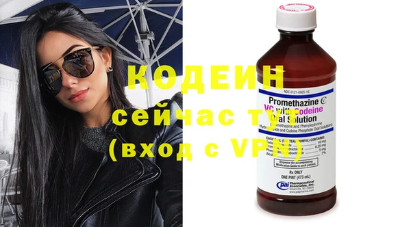 трава Гусиноозёрск